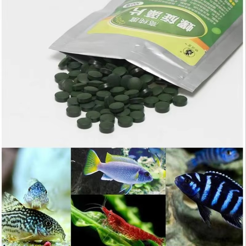 Spirulina Tablet Organic - 100/200/300/500pcs 고순도 스피루리나 정제 나선형 해초
