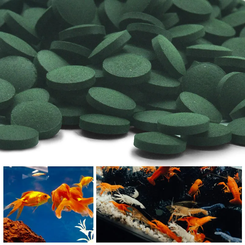 100-500Pcs 고순도 스피루리나 정제 나선형 해초 - Spirulina Tablet Organic 리뷰 및 가격