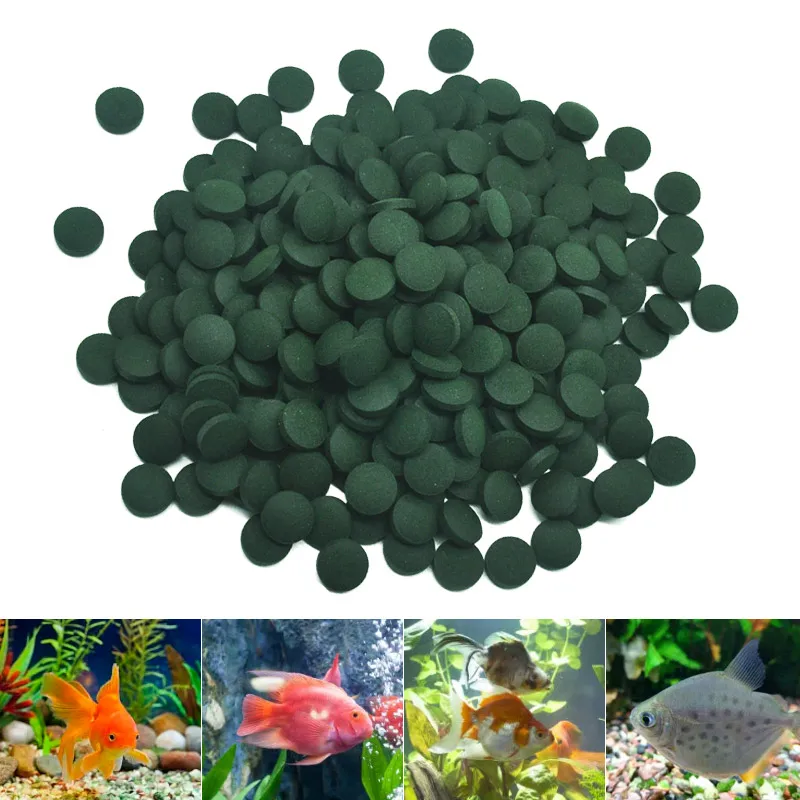 100-500Pcs 고순도 스피루리나 정제 나선형 해초 - Spirulina Tablet Organic 리뷰 및 가격